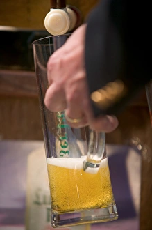 German Beer Prints: german beer