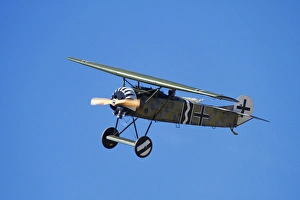 German WWI Fokker D-8 fighter plane (The Flying Razor') German WWI Fokker D-8 fighter plane (The Flying Razor')