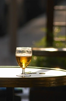 A glass of beer with foam froth with sun backligthing the drink and some change coins A glass of beer with foam froth with sun backligthing the drink and some change coins