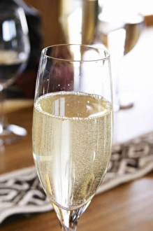 Glass flute of sparkling Cruzdiabolo semi-sweet wine Bodega Del Anelo Winery, also Glass flute of sparkling Cruzdiabolo semi-sweet wine Bodega Del Anelo Winery, also