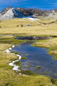 Gorbea Natural Park. Campas de Araba. Biscay, Basque Country Gorbea Natural Park. Campas de Araba. Biscay, Basque Country