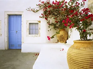 Greece, Santorini. Blue door to house and potted flowers Greece, Santorini. Blue door to house and potted flowers