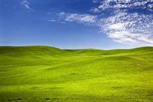 Green Wheat Grass Fields Blue Skies Palouse Washington State Pacific Northwest Green Wheat Grass Fields Blue Skies Palouse Washington State Pacific Northwest