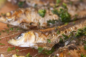 Grilled sardines in a restaurant in Collioure on the Mediterranean coast in Roussillon Grilled sardines in a restaurant in Collioure on the Mediterranean coast in Roussillon