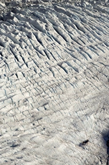 Group of Guided Glacier Walkers and Crevasses, Franz Josef Glacier, West Coast Group of Guided Glacier Walkers and Crevasses, Franz Josef Glacier, West Coast