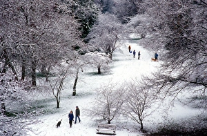 Groups of people enjoying a walk in fresh snow at the Washington Park Arboretum in Seattle Groups of people enjoying a walk in fresh snow at the Washington Park Arboretum in Seattle