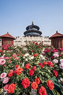 Hall of Prayer for Good Harvests in the Temple of Heaven (Altar of Heaven) Beijing Hall of Prayer for Good Harvests in the Temple of Heaven (Altar of Heaven) Beijing