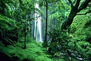 Hanakapiai Falls along the Na Pali Coast, Kauai, Hawaii Hanakapiai Falls along the Na Pali Coast, Kauai, Hawaii