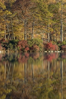 Harriman State Park, New York, USA. Autumn reflections across lake Tiorati Harriman State Park, New York, USA. Autumn reflections across lake Tiorati