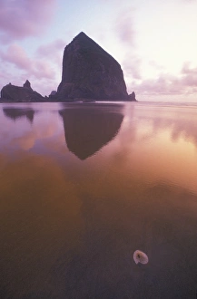 Haystack Rock, Cannon Beach, Oregon Coast, Sunset Haystack Rock, Cannon Beach, Oregon Coast, Sunset