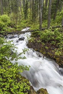 Hellroaring Creek flowing strong in spring near Whitefish, Montana, USA Hellroaring Creek flowing strong in spring near Whitefish, Montana, USA