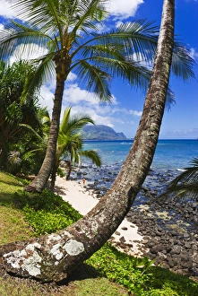Hideaways Beach and the Na Pali Coast, North Shore, Island of Kauai, Hawaii USA Hideaways Beach and the Na Pali Coast, North Shore, Island of Kauai, Hawaii USA