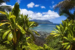 Hideaways Beach and the Na Pali Coast through tropical foliage, Island of Kauai Hideaways Beach and the Na Pali Coast through tropical foliage, Island of Kauai