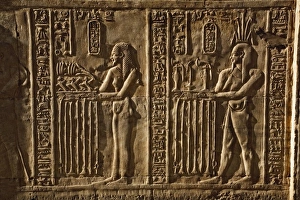 Hieroglyphs, The Temple of Kom-Ombo, near Aswan, Egypt Hieroglyphs, The Temple of Kom-Ombo, near Aswan, Egypt