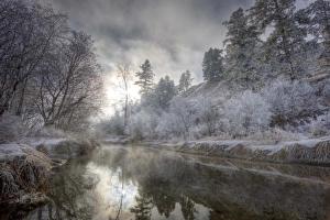 Hoarfrost along a slough at the Kelly Island FWP area along the Clark Fork River in Missoula Hoarfrost along a slough at the Kelly Island FWP area along the Clark Fork River in Missoula