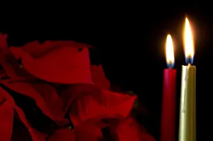 Holiday still life. Burning candles & poinsettia plant. Property released Holiday still life. Burning candles & poinsettia plant. Property released