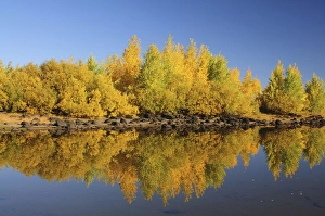 Honeymoon Lake Reflections, Steens Mountain, Frenchglen, Oregon, USA Honeymoon Lake Reflections, Steens Mountain, Frenchglen, Oregon, USA