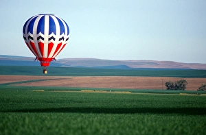 Hot air balloon; wheat fields; Walla Walla, Washington; red, white, and blue; flight Hot air balloon; wheat fields; Walla Walla, Washington; red, white, and blue; flight