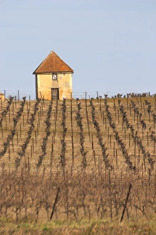 A hut called such as is called Gabinele. Domaine Mas Gabinele. Faugeres. Languedoc A hut called such as is called Gabinele. Domaine Mas Gabinele. Faugeres. Languedoc