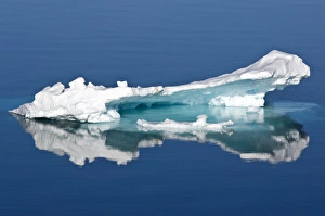 Ice floe Greenland Sea East Coast of Greenland Ice floe Greenland Sea East Coast of Greenland