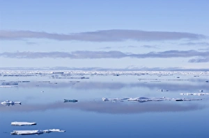 Ice floes Greenland Sea East Coast of Greenland Ice floes Greenland Sea East Coast of Greenland