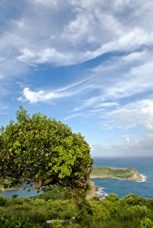 Indian Creek Point, Antigua, West Indies, Caribbean, Central America Indian Creek Point, Antigua, West Indies, Caribbean, Central America