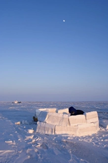 inupiat guide Bruce Inglangasak building an igloo snow blind, along the Arctic coast inupiat guide Bruce Inglangasak building an igloo snow blind, along the Arctic coast