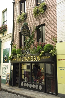 IRELAND, Dublin. Temple Bar. The Chameleon restaurant IRELAND, Dublin. Temple Bar. The Chameleon restaurant