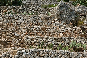Italy, Puglia, Galiano del Capo, Rock Wall Detail Italy, Puglia, Galiano del Capo, Rock Wall Detail