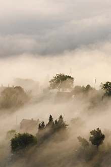 Italy, Tuscany. Morning fog drifts over vineyards with sun breaking through Italy, Tuscany. Morning fog drifts over vineyards with sun breaking through