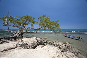 Jakes Hideaway Resort, Treasure Beach, Jamaica South Coast Jakes Hideaway Resort, Treasure Beach, Jamaica South Coast