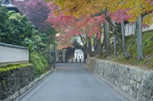Japan, Kyoto, Autumn Color at Tofukuji Temple Japan, Kyoto, Autumn Color at Tofukuji Temple
