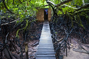 Jungle toilet on a an islet ot the Marovo Lagoon, Salomon Islands, Pacific Jungle toilet on a an islet ot the Marovo Lagoon, Salomon Islands, Pacific
