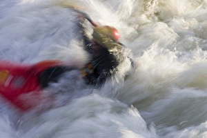 Kayakers in playboat kayaks in Brennans Wave surf in the Clark Fork River in Kayakers in playboat kayaks in Brennans Wave surf in the Clark Fork River in