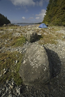 Keith Island Campsite, Broken Island Group, Pacific Rim National Park Preserve Keith Island Campsite, Broken Island Group, Pacific Rim National Park Preserve