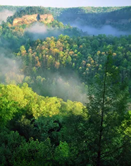 KENTUCKY. USA. Fog at sunrise, Red River Gorge. Daniel Boone National Forest KENTUCKY. USA. Fog at sunrise, Red River Gorge. Daniel Boone National Forest