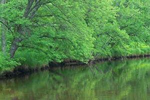 Kettle River headwaters Banning State Park Sandstone, MN Maresa Pryor Kettle River headwaters Banning State Park Sandstone, MN Maresa Pryor