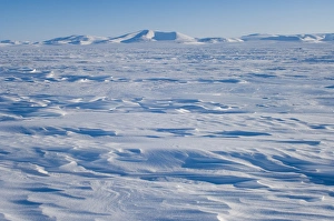 landscape of the frozen Arctic ocean west of Herschel Island landscape of the frozen Arctic ocean west of Herschel Island