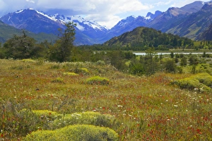Landscape of meadow, snow mountain valley in the distance, National Park Los Glaciares Landscape of meadow, snow mountain valley in the distance, National Park Los Glaciares