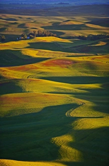 A landscape view from Steptoe Mt Washington State Palouse A landscape view from Steptoe Mt Washington State Palouse