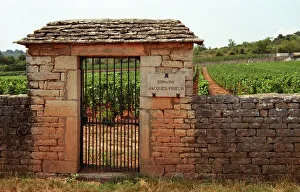 Le Grand Montrachet, Domaine Jacques Prieur, Duverget, Taboureau. An iron gate and stone wall Le Grand Montrachet, Domaine Jacques Prieur, Duverget, Taboureau. An iron gate and stone wall