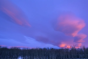 Lenticular Clouds above aspen grove near Baab Montana Lenticular Clouds above aspen grove near Baab Montana