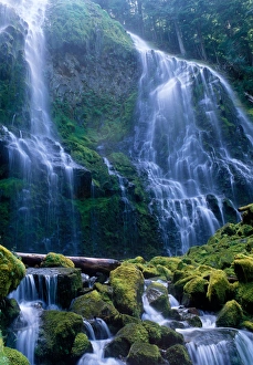Light on Proxy Falls in the central Oregon Cascades Light on Proxy Falls in the central Oregon Cascades