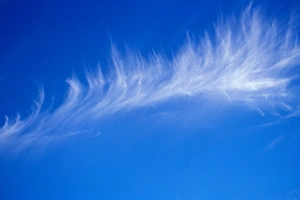 A light whispy cloud hang in the bright blue sky A light whispy cloud hang in the bright blue sky
