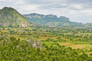 The limestone cliffs of the Vinales Valley, Valle de Vinales in Pinar del Rio, Cuba The limestone cliffs of the Vinales Valley, Valle de Vinales in Pinar del Rio, Cuba