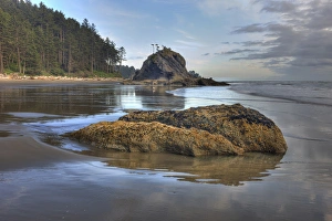 Low tide. Olympic National Park, Washington, US Low tide. Olympic National Park, Washington, US
