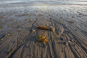 Low tide at sunrise. Lands End. Homer. Alaska Low tide at sunrise. Lands End. Homer. Alaska