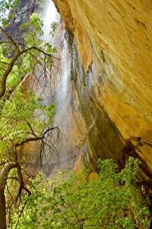 Lower Emerald Pool Waterfall Red rock and Tree , Zion Canyon, Zion National Park, Utah Lower Emerald Pool Waterfall Red rock and Tree , Zion Canyon, Zion National Park, Utah