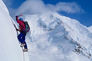 Man ice climbing on the flanks of Mount Cook below Mount Tasman in Mount Cook National Man ice climbing on the flanks of Mount Cook below Mount Tasman in Mount Cook National