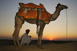 Man sitting with his camel at sunset on the sand dunes in Jalsamer, India, ragasthan Man sitting with his camel at sunset on the sand dunes in Jalsamer, India, ragasthan